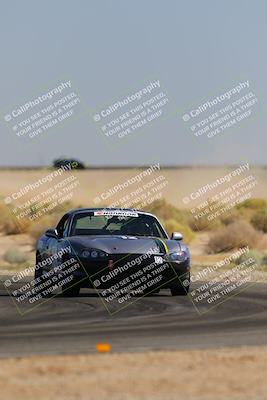 media/Oct-14-2023-Lucky Dog Racing (Sat) [[cef75db616]]/2nd Stint Turn 16/